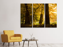 Laden Sie das Bild in den Galerie-Viewer, Leinwandbild 3-teilig Herbstlaub