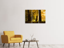 Laden Sie das Bild in den Galerie-Viewer, Leinwandbild 3-teilig Herbstlaub