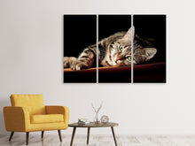Laden Sie das Bild in den Galerie-Viewer, Leinwandbild 3-teilig Entspannte Katze
