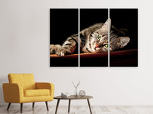 Laden Sie das Bild in den Galerie-Viewer, Leinwandbild 3-teilig Entspannte Katze