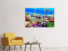 Laden Sie das Bild in den Galerie-Viewer, Leinwandbild 3-teilig Fischaquarium