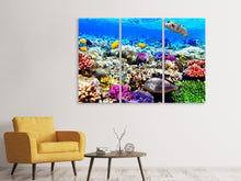 Laden Sie das Bild in den Galerie-Viewer, Leinwandbild 3-teilig Fischaquarium