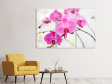 Laden Sie das Bild in den Galerie-Viewer, Leinwandbild 3-teilig Das Symbol der Orchidee