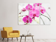 Laden Sie das Bild in den Galerie-Viewer, Leinwandbild 3-teilig Das Symbol der Orchidee