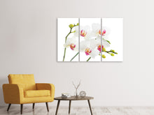 Laden Sie das Bild in den Galerie-Viewer, Leinwandbild 3-teilig Orchideenliebe