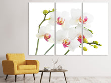 Laden Sie das Bild in den Galerie-Viewer, Leinwandbild 3-teilig Orchideenliebe