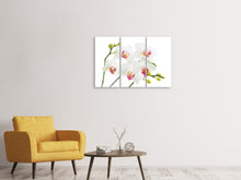 Laden Sie das Bild in den Galerie-Viewer, Leinwandbild 3-teilig Orchideenliebe