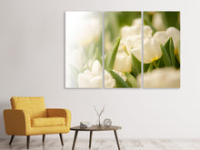 Laden Sie das Bild in den Galerie-Viewer, Leinwandbild 3-teilig Tulpenperspektive