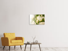Laden Sie das Bild in den Galerie-Viewer, Leinwandbild 3-teilig Tulpenperspektive