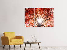 Laden Sie das Bild in den Galerie-Viewer, Leinwandbild 3-teilig Herbstlicht