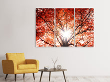 Laden Sie das Bild in den Galerie-Viewer, Leinwandbild 3-teilig Herbstlicht