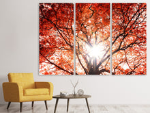 Laden Sie das Bild in den Galerie-Viewer, Leinwandbild 3-teilig Herbstlicht