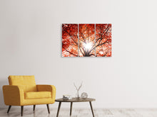 Laden Sie das Bild in den Galerie-Viewer, Leinwandbild 3-teilig Herbstlicht