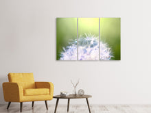 Laden Sie das Bild in den Galerie-Viewer, Leinwandbild 3-teilig Pusteblume XL im Morgentau