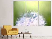 Laden Sie das Bild in den Galerie-Viewer, Leinwandbild 3-teilig Pusteblume XL im Morgentau