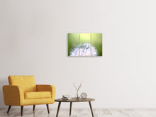 Laden Sie das Bild in den Galerie-Viewer, Leinwandbild 3-teilig Pusteblume XL im Morgentau