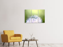 Laden Sie das Bild in den Galerie-Viewer, Leinwandbild 3-teilig Pusteblume XL im Morgentau