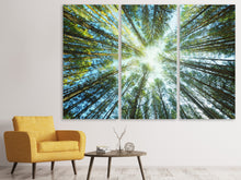 Laden Sie das Bild in den Galerie-Viewer, Leinwandbild 3-teilig Kiefernwald