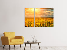 Laden Sie das Bild in den Galerie-Viewer, Leinwandbild 3-teilig Goldenes Licht für Sonnenblumen