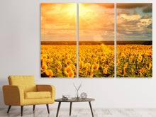 Laden Sie das Bild in den Galerie-Viewer, Leinwandbild 3-teilig Goldenes Licht für Sonnenblumen
