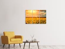 Laden Sie das Bild in den Galerie-Viewer, Leinwandbild 3-teilig Goldenes Licht für Sonnenblumen
