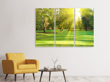Laden Sie das Bild in den Galerie-Viewer, Leinwandbild 3-teilig Im Park