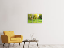 Laden Sie das Bild in den Galerie-Viewer, Leinwandbild 3-teilig Im Park