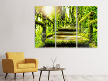 Laden Sie das Bild in den Galerie-Viewer, Leinwandbild 3-teilig Moos