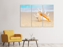 Laden Sie das Bild in den Galerie-Viewer, Leinwandbild 3-teilig Die Muschel am Strand