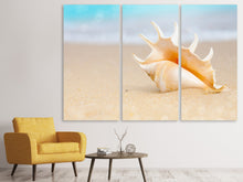 Laden Sie das Bild in den Galerie-Viewer, Leinwandbild 3-teilig Die Muschel am Strand