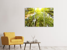 Laden Sie das Bild in den Galerie-Viewer, Leinwandbild 3-teilig Baumkronen in der Sonne