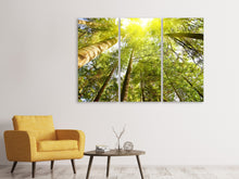 Laden Sie das Bild in den Galerie-Viewer, Leinwandbild 3-teilig Baumkronen in der Sonne