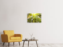 Laden Sie das Bild in den Galerie-Viewer, Leinwandbild 3-teilig Baumkronen in der Sonne