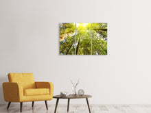 Laden Sie das Bild in den Galerie-Viewer, Leinwandbild 3-teilig Baumkronen in der Sonne