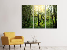 Laden Sie das Bild in den Galerie-Viewer, Leinwandbild 3-teilig Verträumter Wald