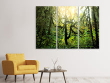 Laden Sie das Bild in den Galerie-Viewer, Leinwandbild 3-teilig Verträumter Wald