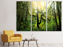 Laden Sie das Bild in den Galerie-Viewer, Leinwandbild 3-teilig Verträumter Wald