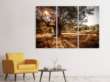 Laden Sie das Bild in den Galerie-Viewer, Leinwandbild 3-teilig Olivenhain