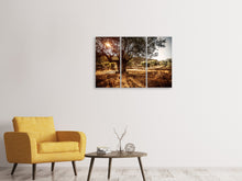 Laden Sie das Bild in den Galerie-Viewer, Leinwandbild 3-teilig Olivenhain