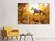 Laden Sie das Bild in den Galerie-Viewer, Leinwandbild 3-teilig Vollblut im Herbstwald