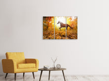 Laden Sie das Bild in den Galerie-Viewer, Leinwandbild 3-teilig Vollblut im Herbstwald