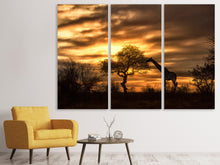 Laden Sie das Bild in den Galerie-Viewer, Leinwandbild 3-teilig African Dreams