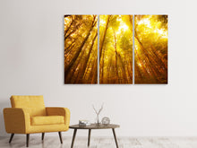 Laden Sie das Bild in den Galerie-Viewer, Leinwandbild 3-teilig Herbstwald
