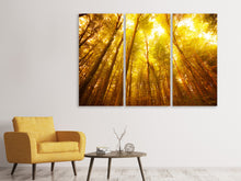 Laden Sie das Bild in den Galerie-Viewer, Leinwandbild 3-teilig Herbstwald