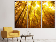Laden Sie das Bild in den Galerie-Viewer, Leinwandbild 3-teilig Herbstwald