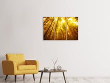 Laden Sie das Bild in den Galerie-Viewer, Leinwandbild 3-teilig Herbstwald