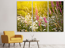 Laden Sie das Bild in den Galerie-Viewer, Leinwandbild 3-teilig Sommerliche Blumenwiese