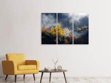 Laden Sie das Bild in den Galerie-Viewer, Leinwandbild 3-teilig Mondscheinwald