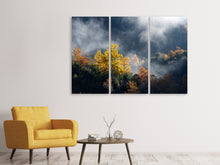 Laden Sie das Bild in den Galerie-Viewer, Leinwandbild 3-teilig Mondscheinwald