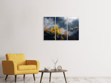 Laden Sie das Bild in den Galerie-Viewer, Leinwandbild 3-teilig Mondscheinwald